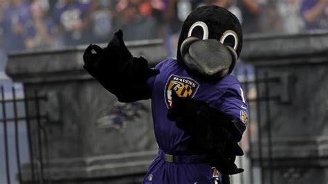 Behind the mask: Ravens mascot's hilarious recording fail